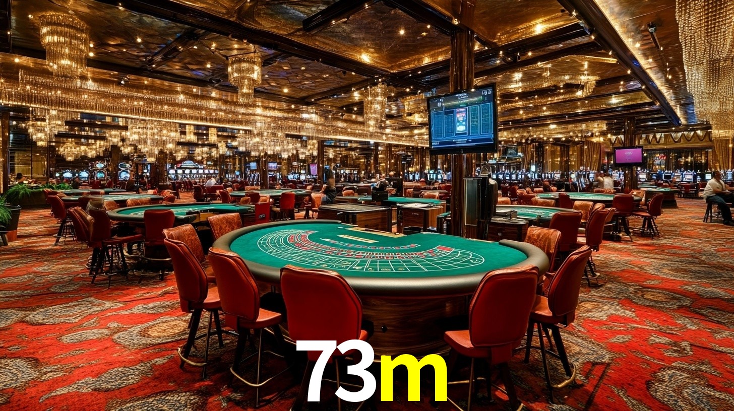 73m.com